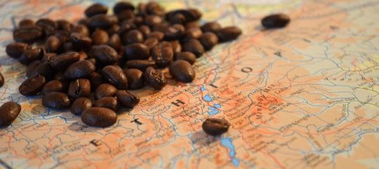 Learn Amharic Online - (Business)