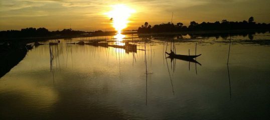 Learn Bengali Online - (Business)