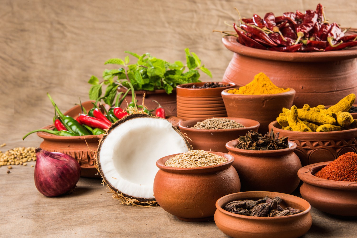 Learn English Online (Indian) - Level 1