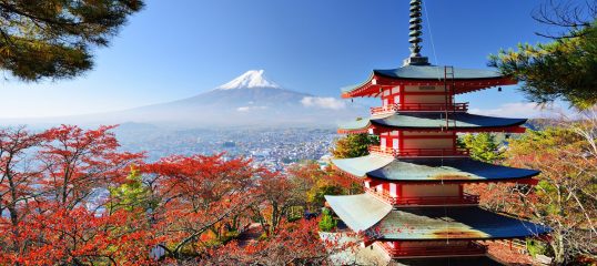 Learn Japanese Online - (Business)