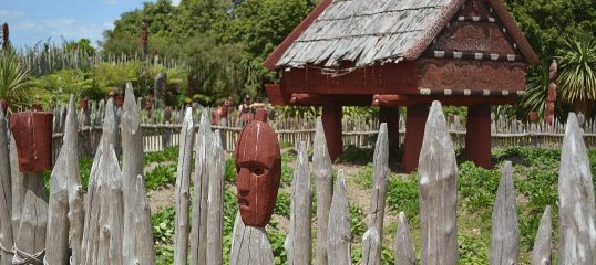 Learn Maori Online - (Business)