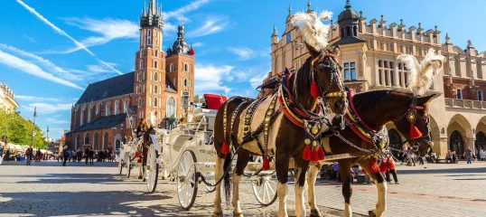 Learn Polish Online - (Business)