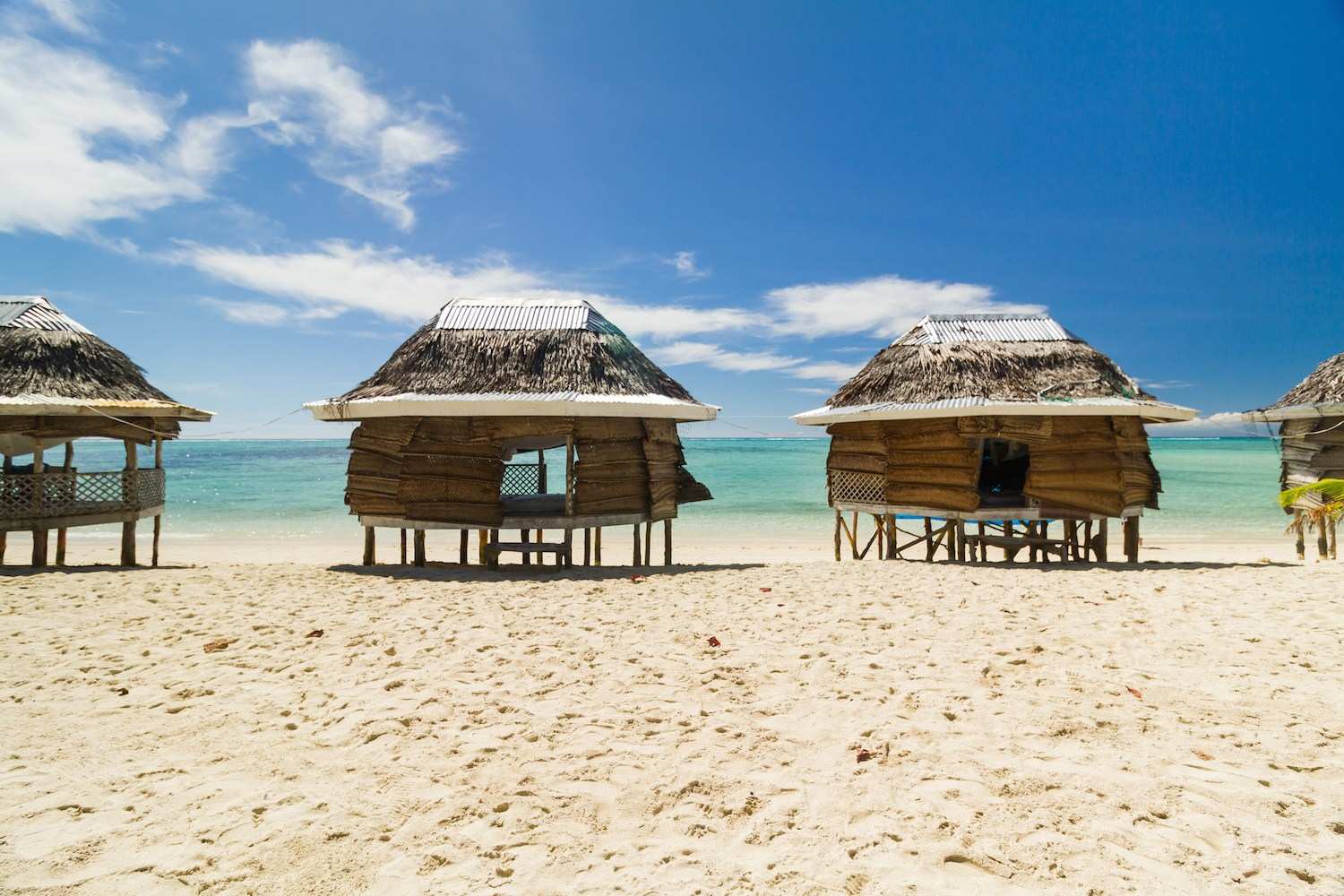 Learn Samoan Online - Level 1