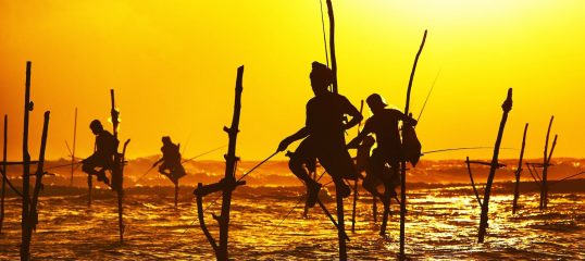 Learn Sinhala Online - Level 2