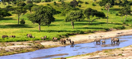 Learn Swahili Online - (Business)