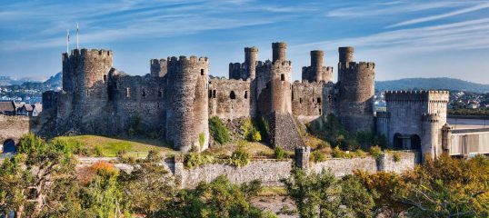 Learn Welsh Online - (Business)