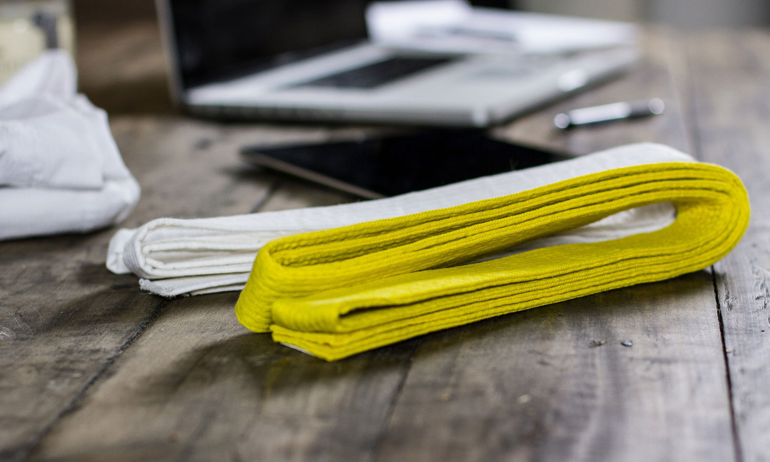 Six Sigma - Introduction to Entering the Dojo