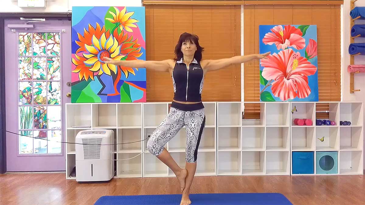 Flextrim Fitness 2 – Ultimate Fitness, Endurance & Stretching