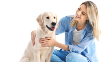 Pet Care Certification Course (Bundle)
